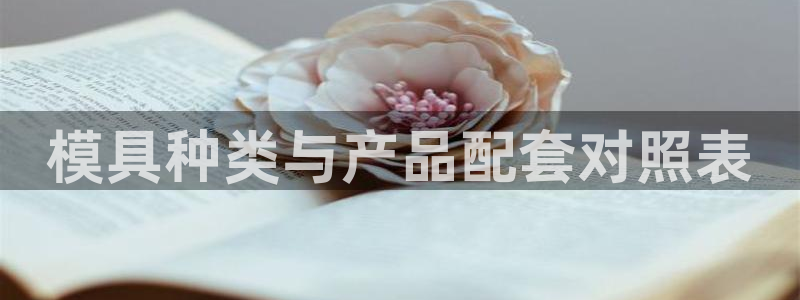 太阳集团唯一值得信赖网站是什么：模具种类与产品配套对照表