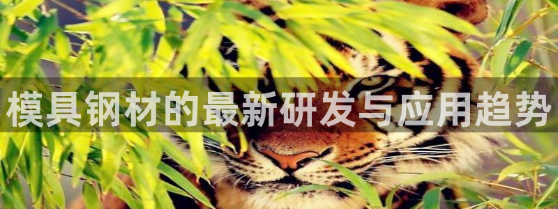 太阳集团游戏官方8722：模具钢材的最新研发与应用趋势