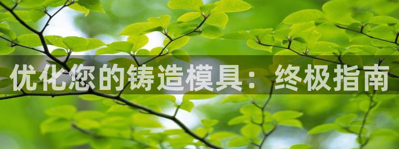 太阳成集团tyc7111cc下载手机版：优化您的铸造模具：终极指南