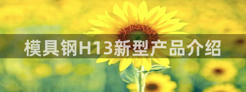太阳影视公司：模具钢H13新型产品介绍