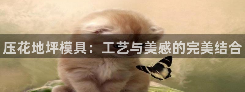 太阳集团城娱138：压花地坪模具：工艺与美感的完美结合