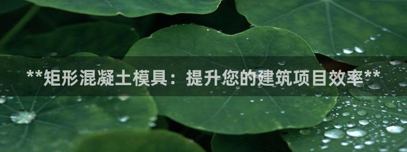太阳股份有限公司：**矩形混凝土模具：提升您的建筑项目效率**