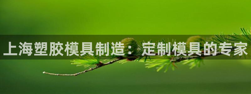 太阳集团tcy8099：上海塑胶模具制造：定制模具的专家