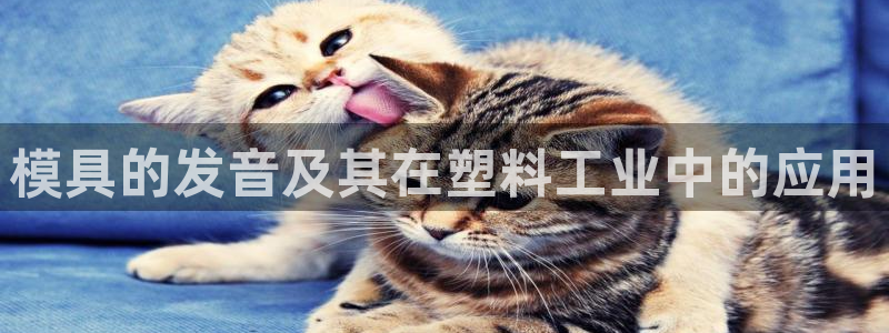 122cc太阳集成游戏：模具的发音及其在塑料工业中的应用