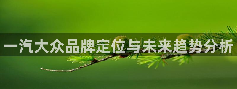 太阳集团2018网址：一汽大众品牌定位与未来趋势分析