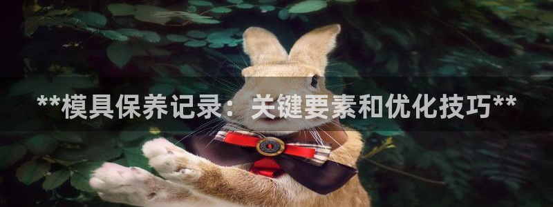 太阳集团城welcome：**模具保养记录：关键要素和优化技巧**