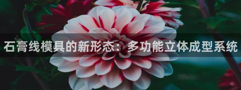15vip太阳集团登录：石膏线模具的新形态：多功能立体成型系统