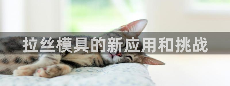 太阳c集团：拉丝模具的新应用和挑战