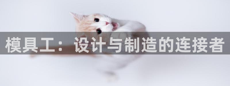 太阳appvip：模具工：设计与制造的连接者