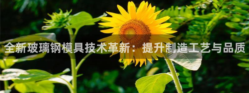太阳集团电子游戏(中国)有限公司官网：全新玻璃钢模具技术革新：提升制造工艺与品质