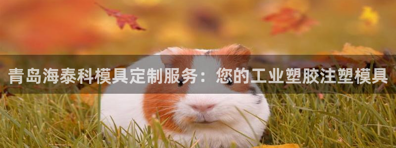 suncitygroup太阳集团--官方网站：青岛海泰科模具定制服务：您的工业塑胶注塑模具