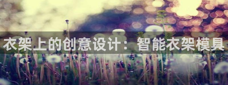 太阳gg注册平台页面：衣架上的创意设计：智能衣架模具
