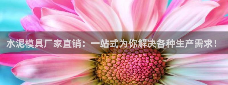 15vip太阳成集团：水泥模具厂家直销：一站式为你解决各种生产需求！