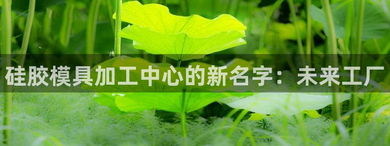 太阳成下载：硅胶模具加工中心的新名字：未来工厂