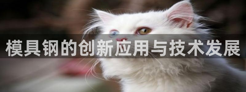 太阳集团官网导航