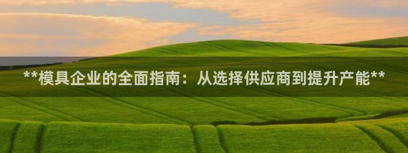 太阳app安卓版：**模具企业的全面指南：从选择供应商到提升产能**