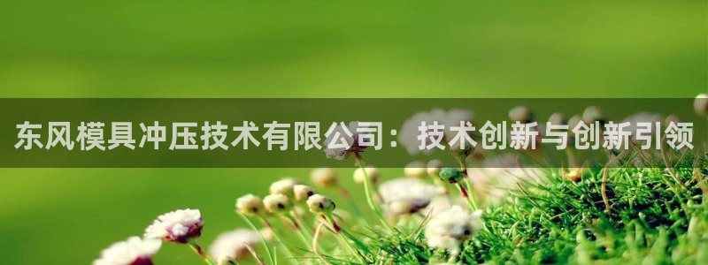 太阳集团游戏软件：东风模具冲压技术有限公司：技术创新与创新引领