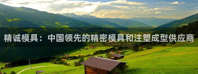 太阳诚集团有限公司