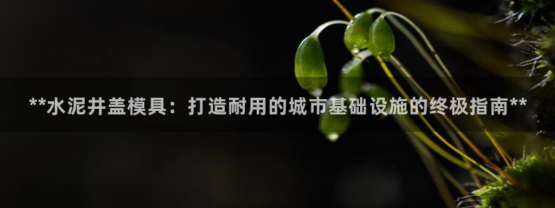 太阳成集团mmm671：**水泥井盖模具：打造耐用的城市基础设施的终极指南**