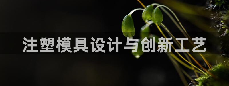 太阳成集团mmm671：注塑模具设计与创新工艺