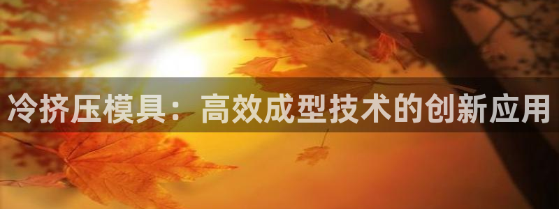 奥门太阳集团城：冷挤压模具：高效成型技术的创新应用