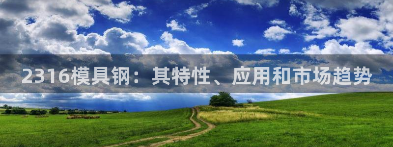 太阳成集团控股官网：2316模具钢：其特性、应用和市场趋势