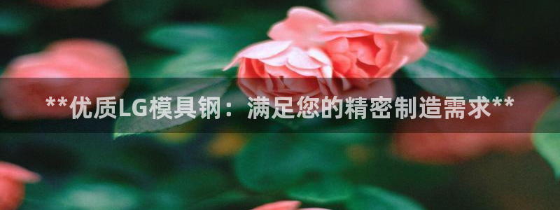 太阳集团电子游戏老板：**优质LG模具钢：满足您的精密制造需求**