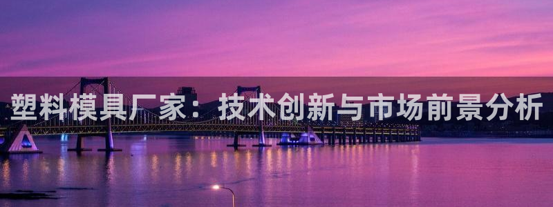 太阳诚集团下载：塑料模具厂家：技术创新与市场前景分析