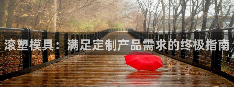 太阳集团董事长