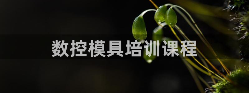 太阳集团公司董事长：数控模具培训课程