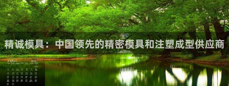 太阳集团城官方app：精诚模具：中国领先的精密模具和注塑成型供应商