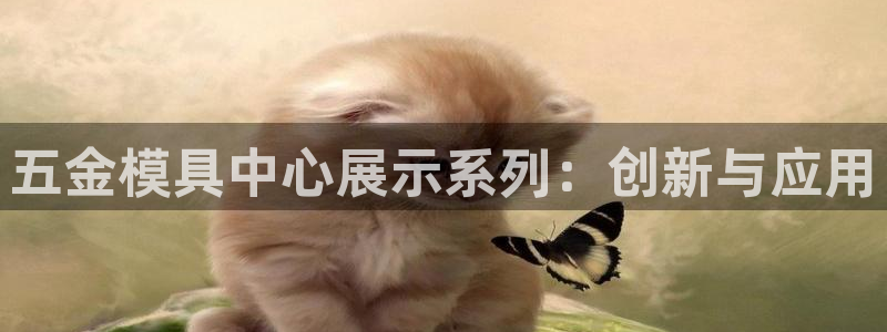 太阳集团在哪里：五金模具中心展示系列：创新与应用