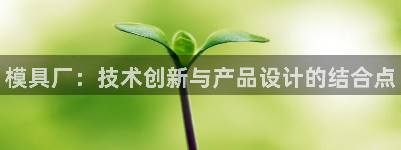 太阳集团董事长：模具厂：技术创新与产品设计的结合点