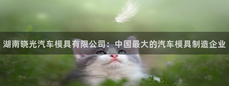 太阳成集团tyc122cc下载：湖南晓光汽车模具有限公司：中国最大的汽车模具制造企业