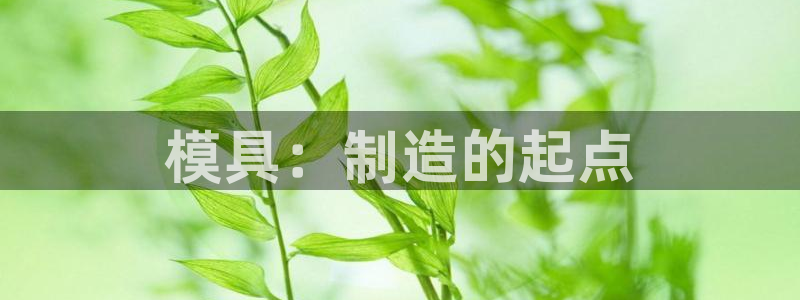 太阳集团公司董事长：模具：制造的起点