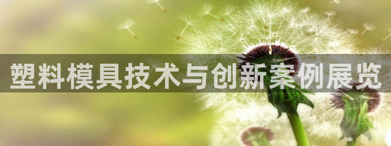 古天乐代言太阳网址ty：塑料模具技术与创新案例展览