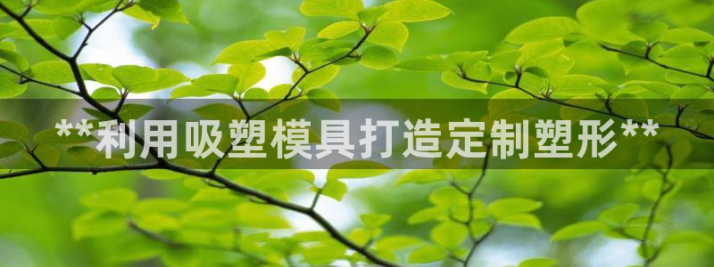 太阳集团城2017：**利用吸塑模具打造定制塑形**