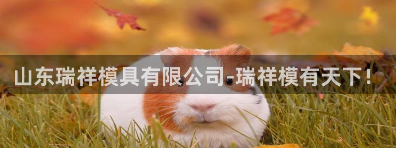太阳集团影视：山东瑞祥模具有限公司-瑞祥模有天下！