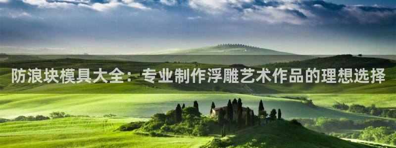 太阳集团网站入口：防浪块模具大全：专业制作浮雕艺术作品的理想选择