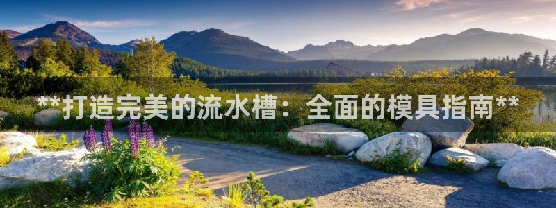 2138cn太阳集团古天乐·网上娱乐：**打造完美的流水槽：全面的模具指南**
