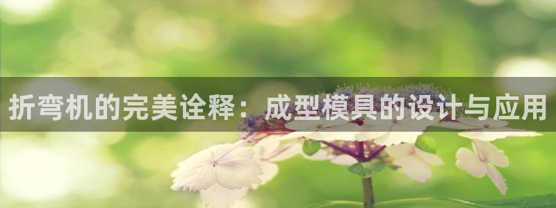 太阳集团游戏城(138)官方网址：折弯机的完美诠释：成型模具的设计与应用