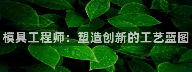 太阳集团城官网：模具工程师：塑造创新的工艺蓝图