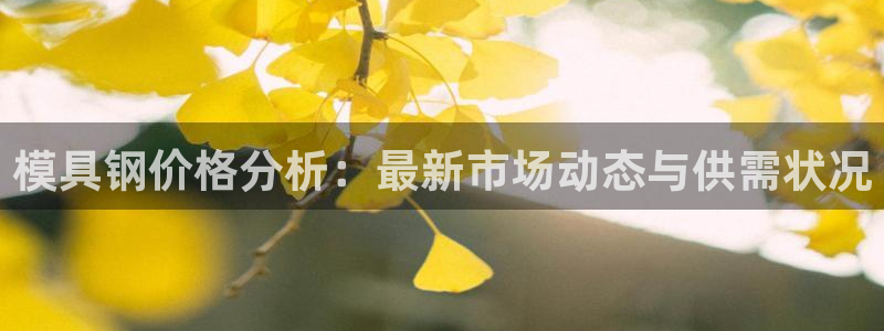 太阳集团游戏城(138)官方网址：模具钢价格分析：最新市场动态与供需状况