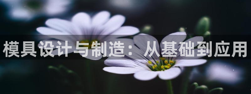 太阳成集团娱乐：模具设计与制造：从基础到应用