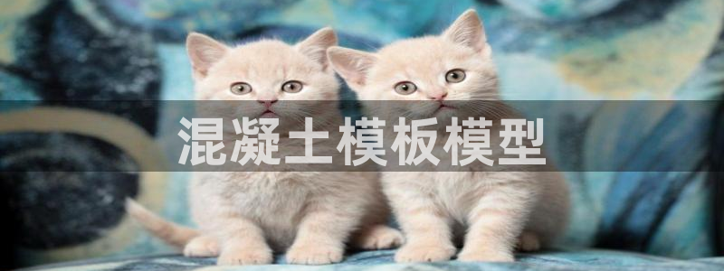 太阳集团在哪里：混凝土模板模型