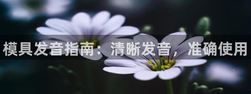 太阳成集团的官方网站：模具发音指南：清晰发音，准确使用
