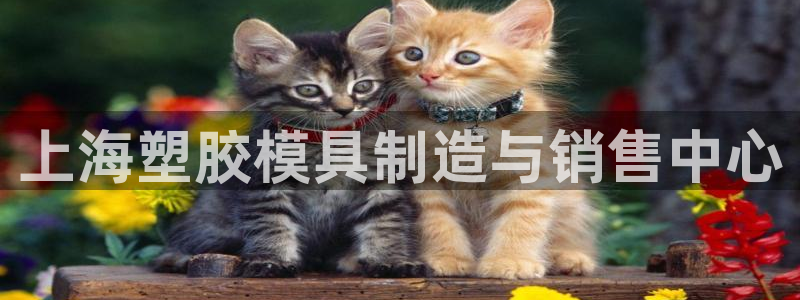 太阳地产集团：上海塑胶模具制造与销售中心