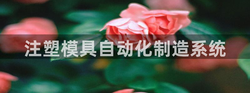 太阳集团娱乐网8722手机登录：注塑模具自动化制造系统