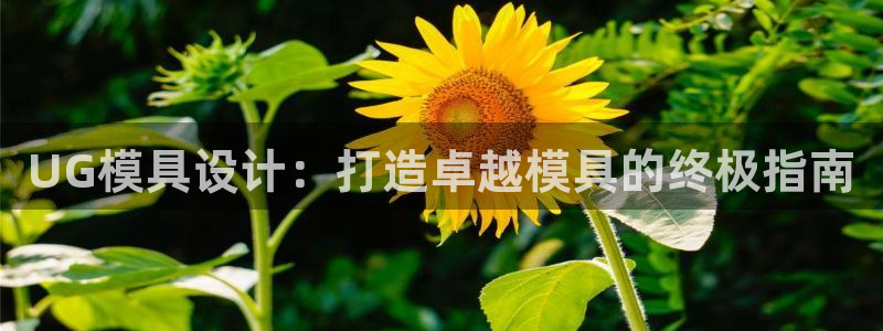 太阳集团总裁：UG模具设计：打造卓越模具的终极指南