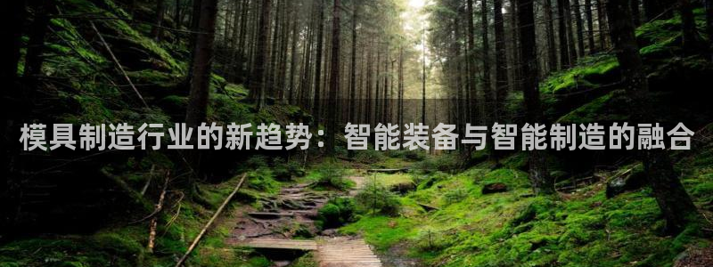 太阳集团游戏城旧版5376：模具制造行业的新趋势：智能装备与智能制造的融合
